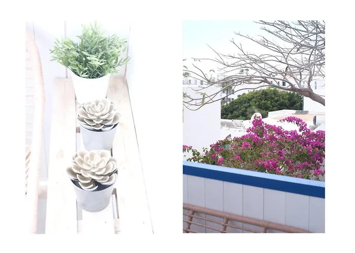 펜션 Barraquito - 100m To Playa De Cucharas By Lanzarote 코스타 테기세